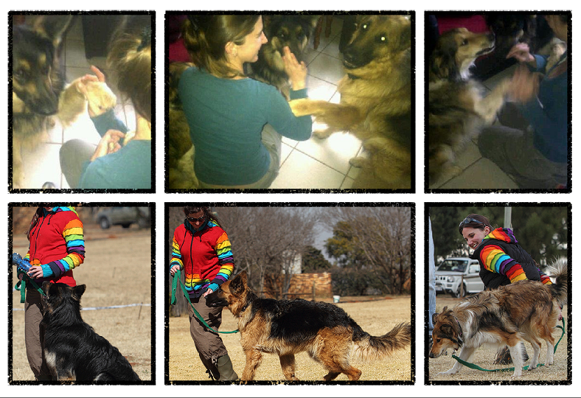 Gemma transformational Life Coach Dog training